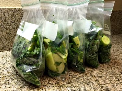 Ninja Blender + Smoothie Prep Bags - MsModify