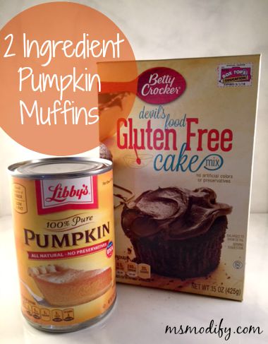 2 ingredient gluten free chocolate pumpkin muffins