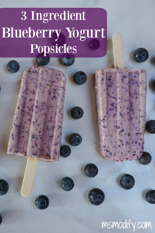 3 Ingredient Blueberry Yogurt Popsicles - MsModify