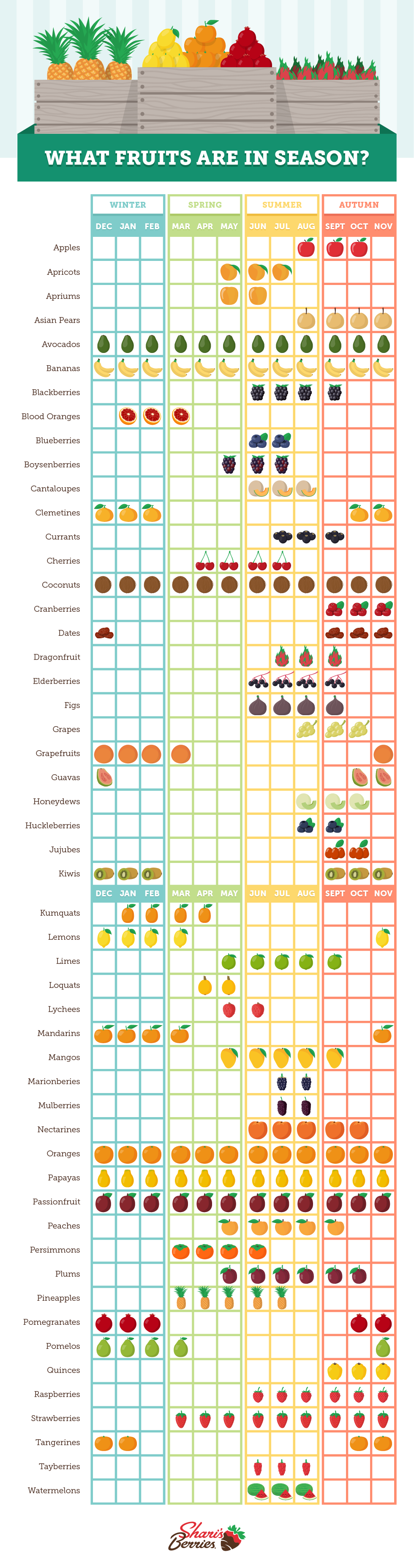 sb-fruits-in-season-2