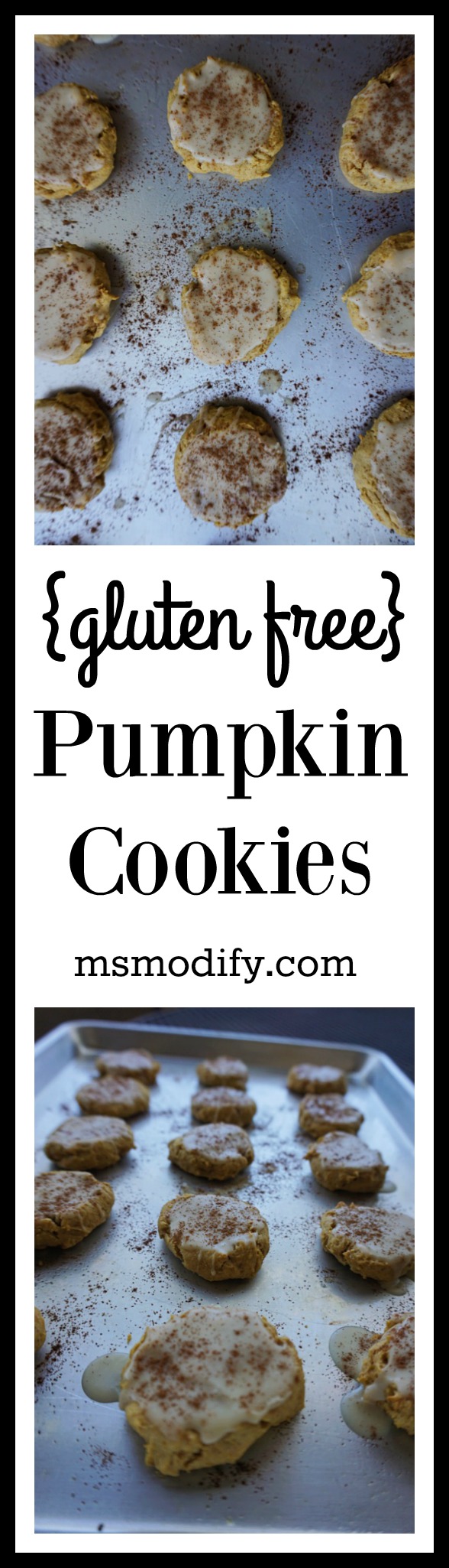 gluten free pumpkin cookies 