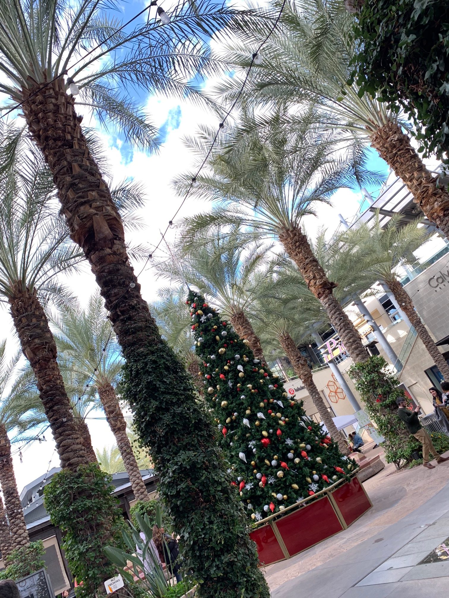 Arizona Trip Recap! | MsModify