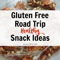 Gluten Free Road Trip Snack Ideas
